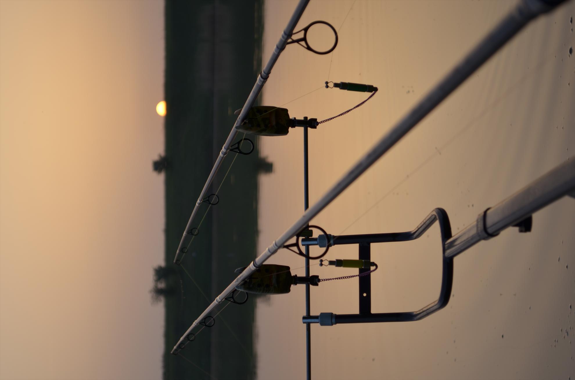 sisterea - dsc0522.JPG